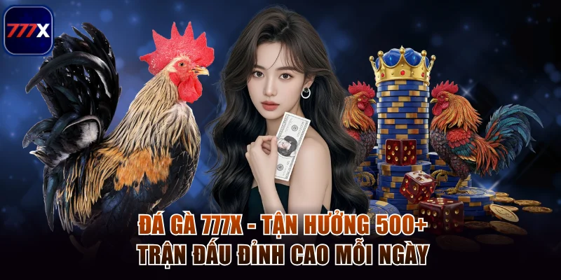 Đá Gà 777x - Tận Hưởng 500+ Trận Đấu Đỉnh Cao Mỗi Ngày