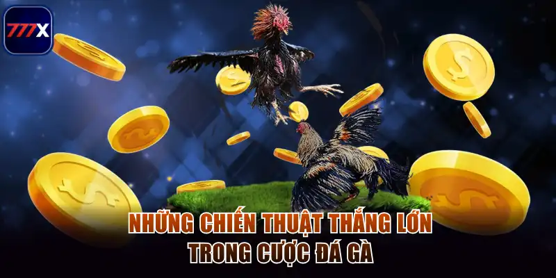 Đá Gà Thomo - Bùng Nổ Cảm Xúc Cá Cược Trực Tuyến Tại 777x 4 Những chiến thuật thắng lớn trong cược đá gà